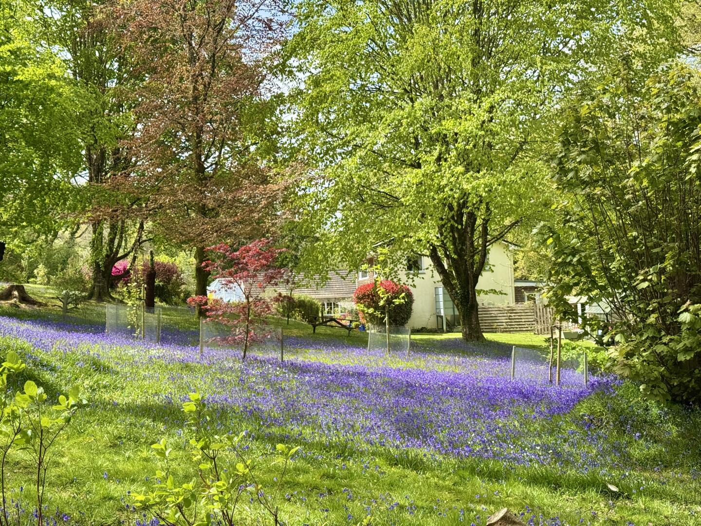 Cosawes, Perranarworthal, Truro
